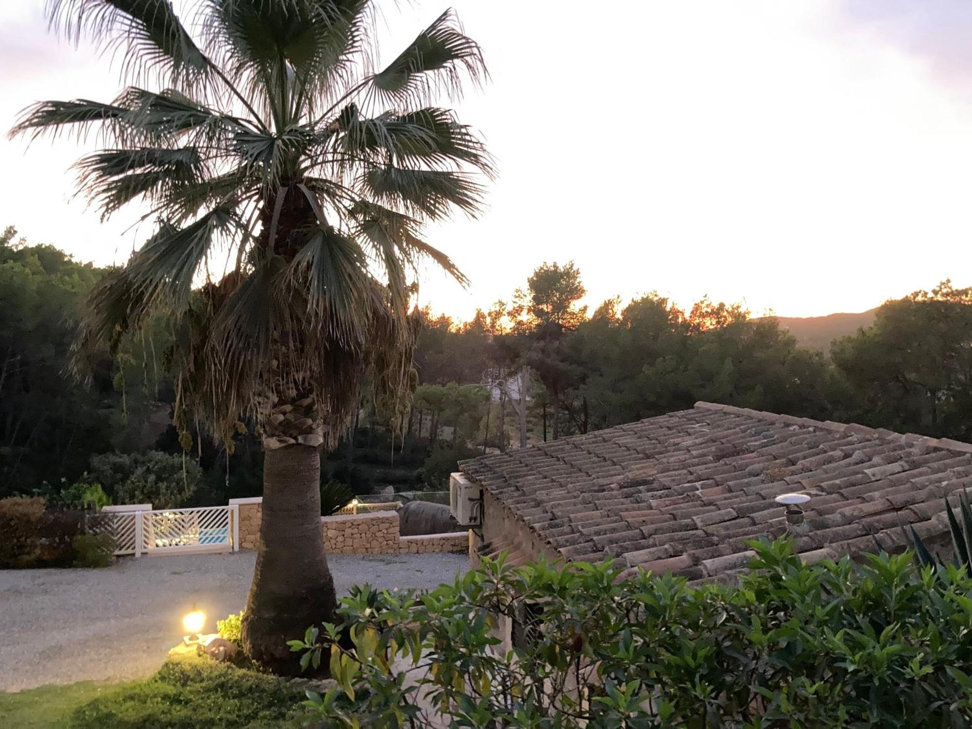 Apartamentos Pinosol Santa Eularia des Riu Buitenkant foto