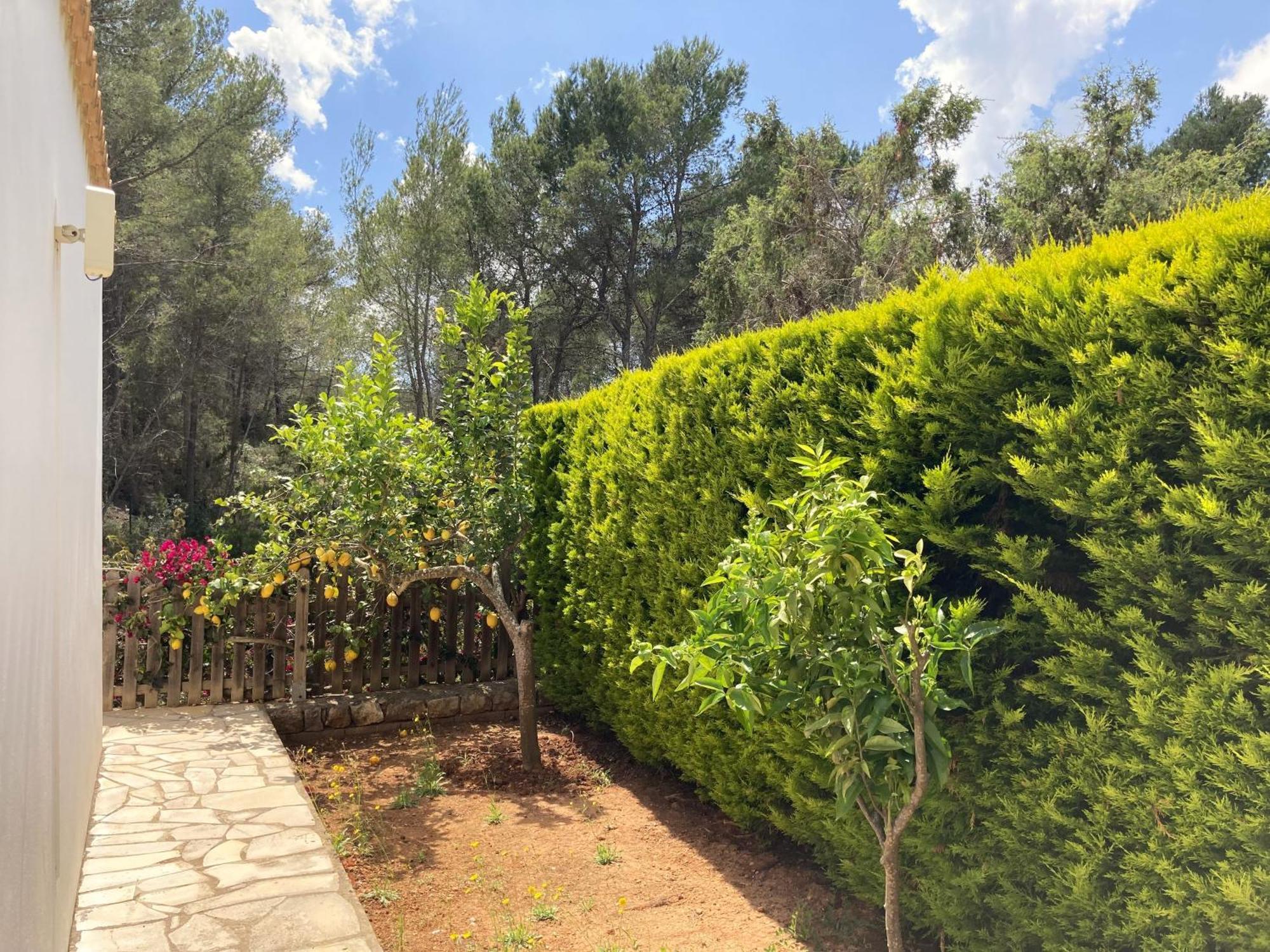 Apartamentos Pinosol Santa Eularia des Riu Kamer foto